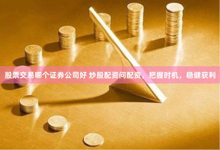 股票交易哪个证券公司好 炒股配资问配资，把握时机，稳健获利
