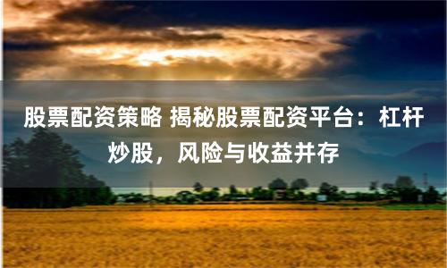 股票配资策略 揭秘股票配资平台：杠杆炒股，风险与收益并存