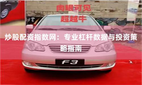 炒股配资指数网：专业杠杆数据与投资策略指南